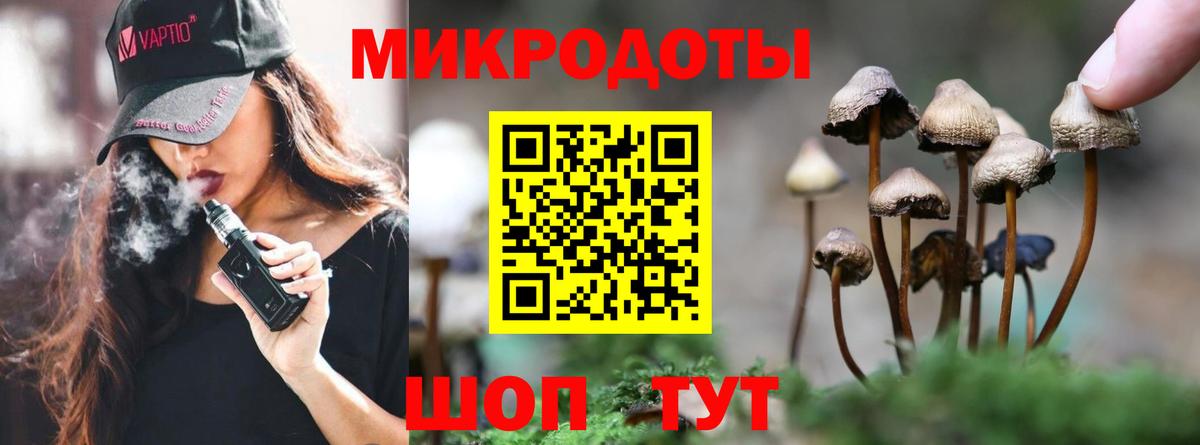 Псилоцибиновые грибы мицелий Сухой Лог