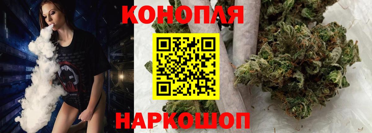 Сухой Лог  Бошки марихуана планчик  Канабис сатива  Вход с VPN  Конопля сатива  Шишки марихуана план 